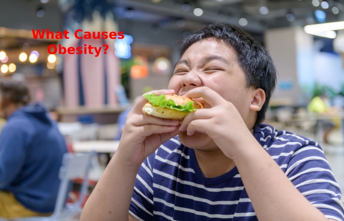 What Causes Obesity_