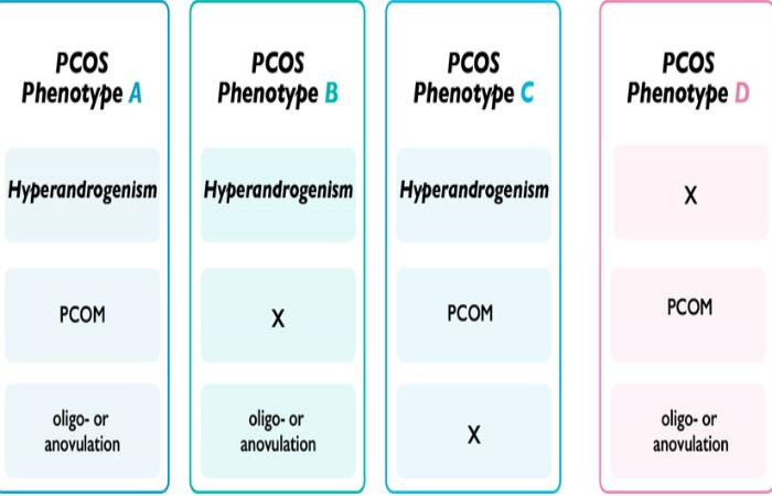 four pcos phenotypes rotterdam criteria diagram