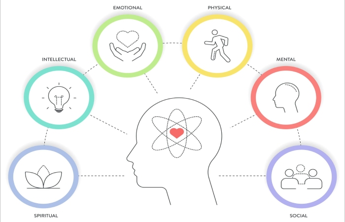 avicenna six pillars of health infographic