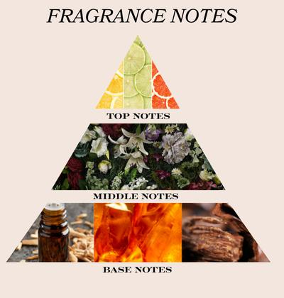 fragrance notes pyramid park avenue amazon woods