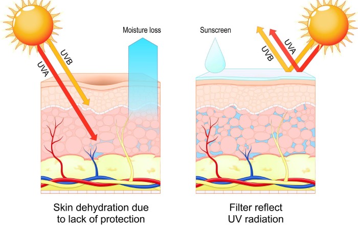 suncat-de-encapsulated-uv-filter-biobest-plix-sunscreen-how-it-works